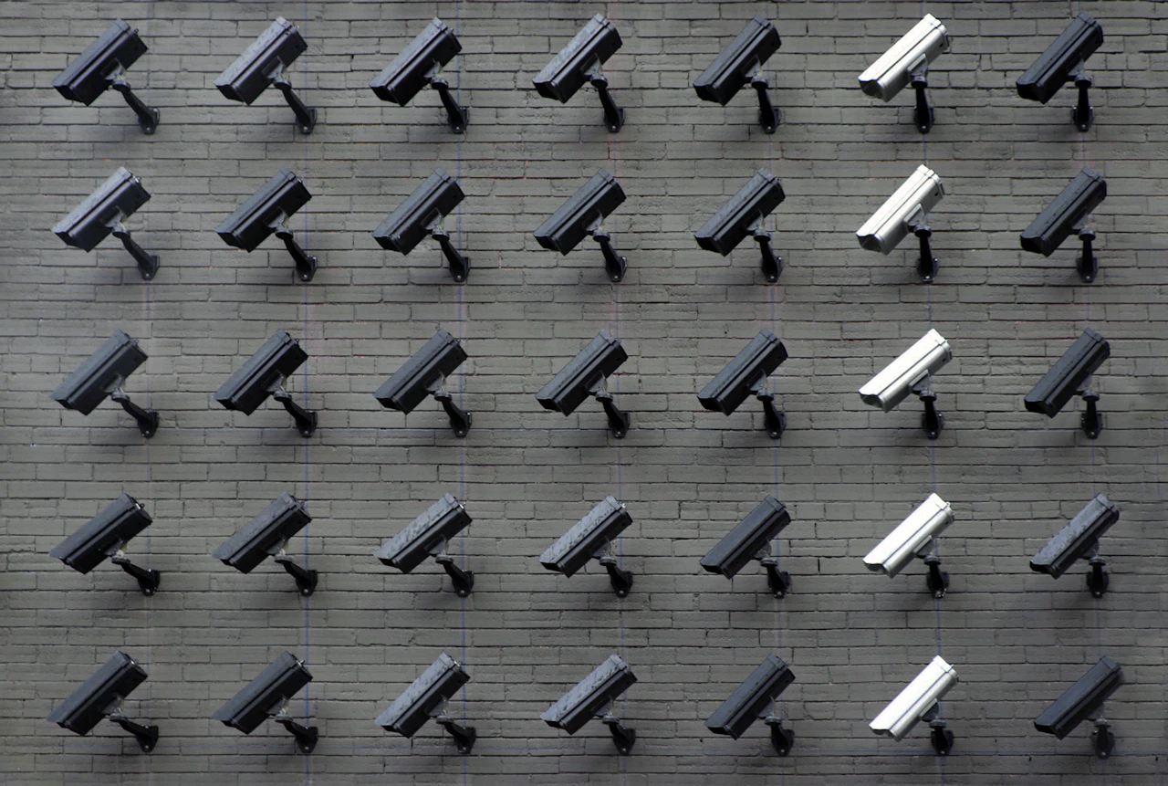 Cámaras de seguridad para la vigilancia inteligente del hogar